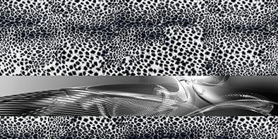 D/Luca Leopard Spark - Artwork